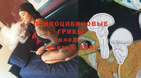 ешки Абинск