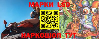 крисы Новозыбков