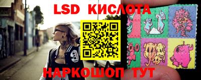 крисы Новозыбков