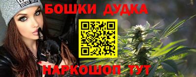 крисы Новозыбков