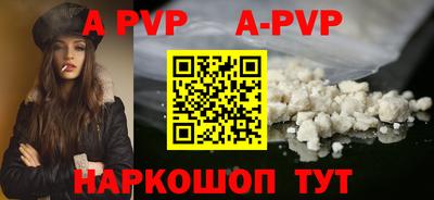крисы Новозыбков