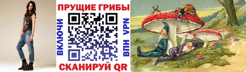МЕГА как войти  Ртищево  Псилоцибиновые грибы Cubensis 