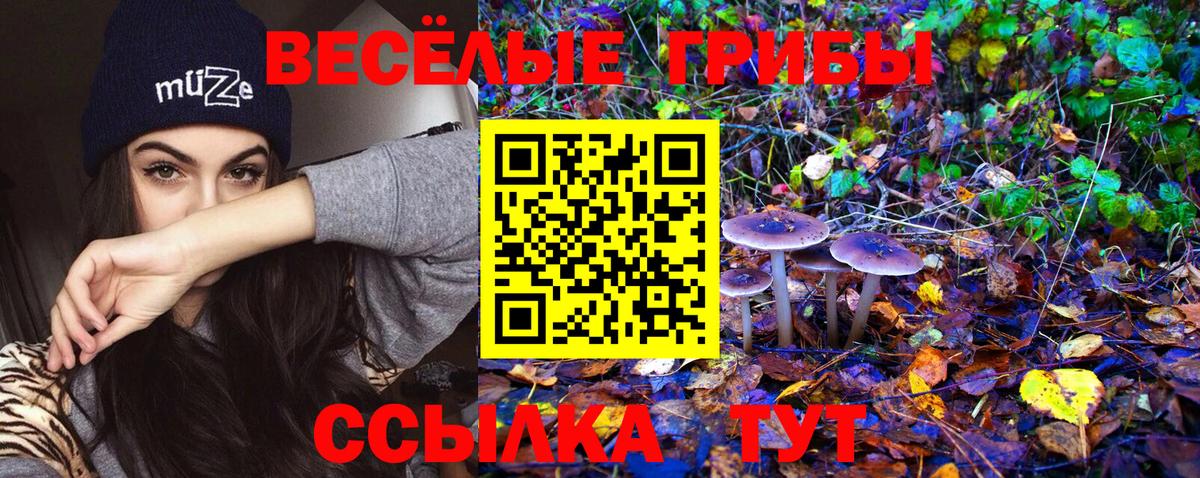 Ртищево  купить наркотик  Вход с VPN  Галлюциногенные грибы GOLDEN TEACHER 