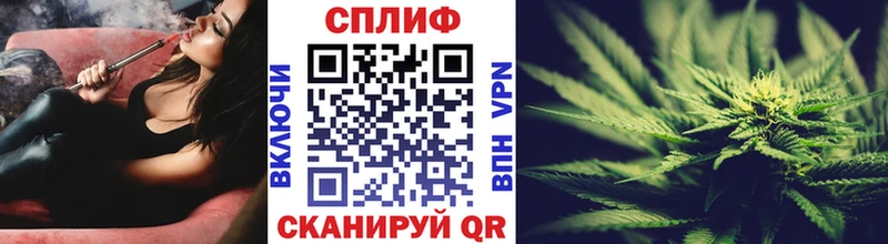 Шишки марихуана OG Kush  площадка какой сайт  Ртищево 